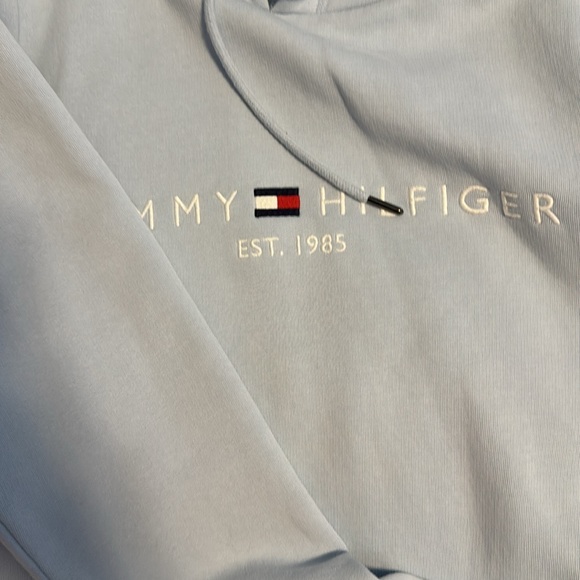 Tommy Hilfiger Mens THD Hoodie Sweatshirt - Picture 3 of 3
